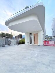 Siglap Road (D15), Detached #606238011